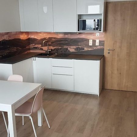 Apartmány Dolní Morava Exteriér fotografie